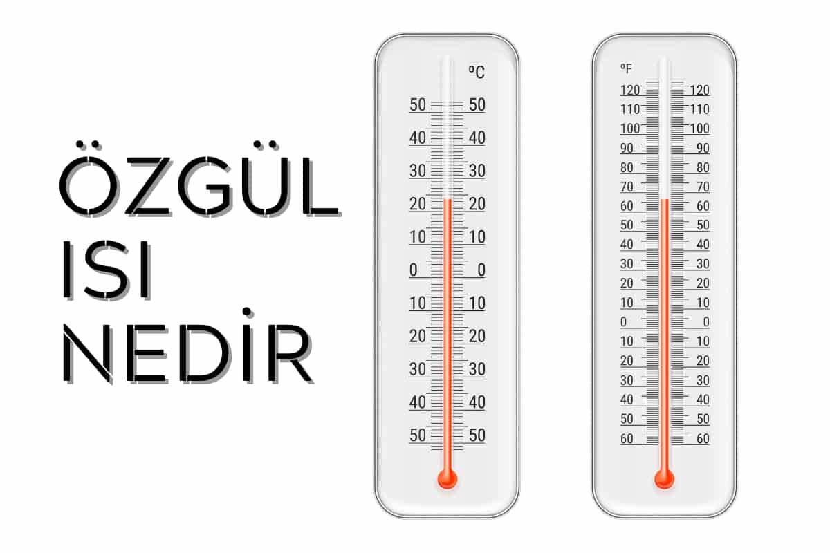 ozgul-isi-nedir-giris